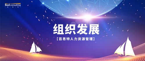 重塑企业生命线 人力资源管理咨询产品的深度赋能指南